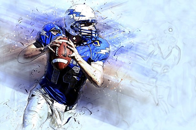 荷兰队凭借 荷兰队凭借